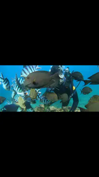 武藤潜水に投稿された画像（2023/8/13）