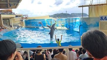 新江ノ島水族館に投稿された画像（2023/8/13）