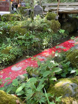加賀 伝統工芸村　ゆのくにの森に投稿された画像（2023/8/13）