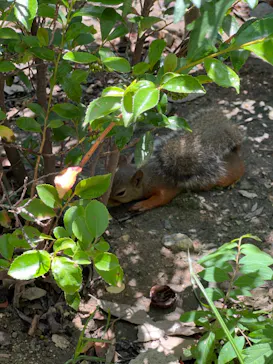 神戸どうぶつ王国に投稿された画像（2023/8/13）
