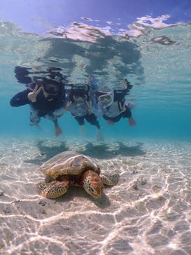 宮古島マリン GB QUESTに投稿された画像（2023/8/13）