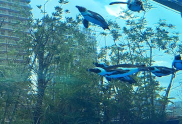 サンシャイン水族館に投稿された画像（2023/8/13）