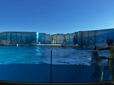 新江ノ島水族館に投稿された画像（2023/8/12）