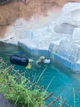 天王寺動物園に投稿された画像（2023/8/13）