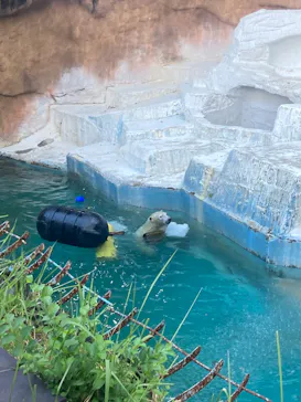 天王寺動物園に投稿された画像（2023/8/13）