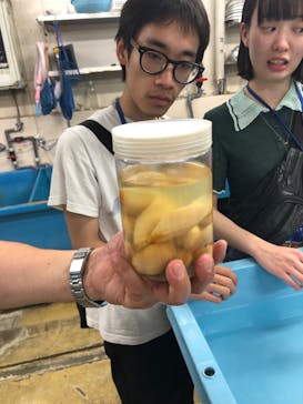 しながわ水族館に投稿された画像（2023/8/13）