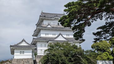 小田原城に投稿された画像（2023/8/13）