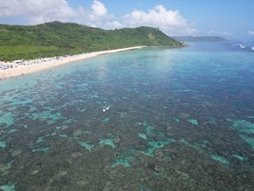 ちゃこたびに投稿された画像（2023/8/13）