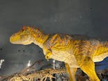 福井県立恐竜博物館に投稿された画像（2023/8/13）