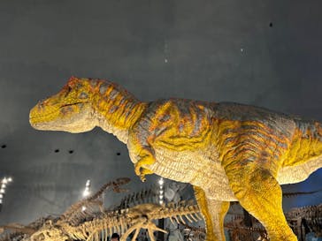 福井県立恐竜博物館に投稿された画像（2023/8/13）