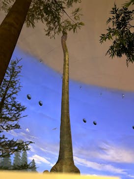 福井県立恐竜博物館に投稿された画像（2023/8/13）