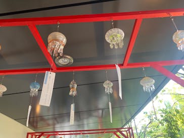 京都水族館に投稿された画像（2023/8/13）