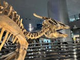 福井県立恐竜博物館に投稿された画像（2023/8/13）