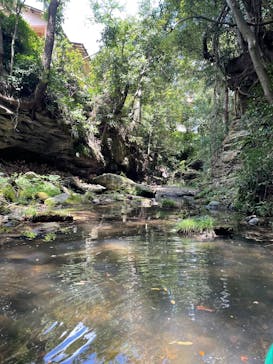 カヌーリゾートたまよどに投稿された画像（2023/8/13）