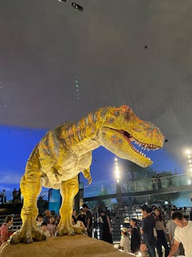 福井県立恐竜博物館に投稿された画像（2023/8/13）