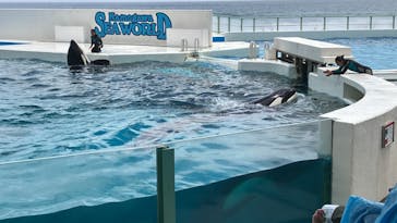 鴨川シーワールドに投稿された画像（2023/8/13）