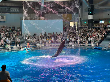 マクセル アクアパーク品川に投稿された画像（2023/8/13）