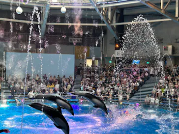 マクセル アクアパーク品川に投稿された画像（2023/8/13）