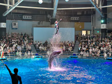 マクセル アクアパーク品川に投稿された画像（2023/8/13）