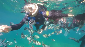 武藤潜水に投稿された画像（2023/8/13）