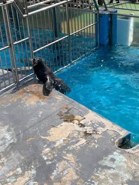 南知多ビーチランド＆南知多おもちゃ王国に投稿された画像（2023/8/13）