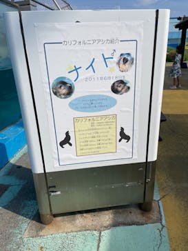 南知多ビーチランド＆南知多おもちゃ王国に投稿された画像（2023/8/13）