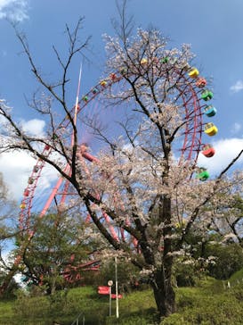 西武園ゆうえんちに投稿された画像（2023/8/13）