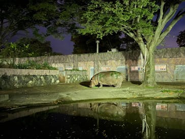 日立市かみね動物園に投稿された画像（2023/8/13）