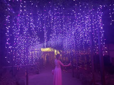 日本庭園　由志園に投稿された画像（2023/8/13）