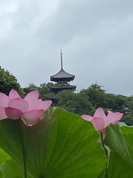 三溪園に投稿された画像（2023/8/13）