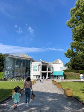 九十九島水族館海きららに投稿された画像（2023/8/13）