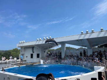 九十九島水族館海きららに投稿された画像（2023/8/13）