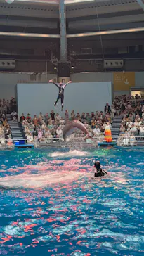 マクセル アクアパーク品川に投稿された画像（2023/8/13）