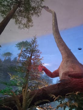 福井県立恐竜博物館に投稿された画像（2023/8/13）