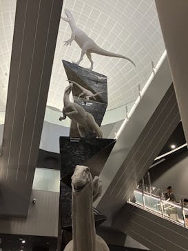 福井県立恐竜博物館に投稿された画像（2023/8/13）