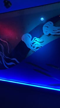 大分マリーンパレス水族館 「うみたまご」に投稿された画像（2023/8/13）