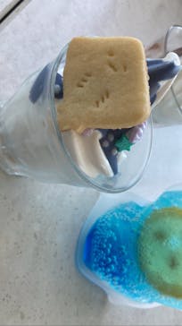 大分マリーンパレス水族館 「うみたまご」に投稿された画像（2023/8/13）