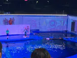 仙台うみの杜水族館に投稿された画像（2023/8/13）