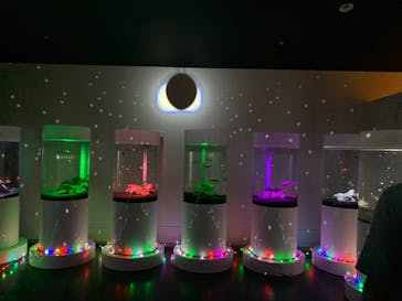 NARA KINGYO MUSEUMに投稿された画像（2023/8/13）