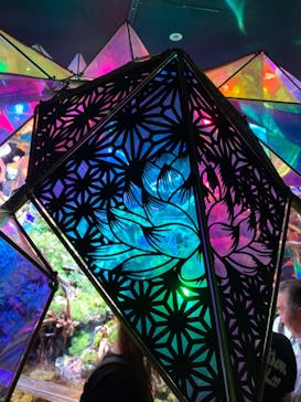 NARA KINGYO MUSEUMに投稿された画像（2023/8/13）