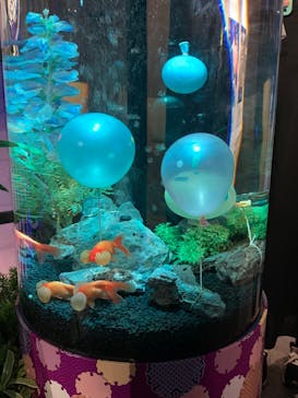 NARA KINGYO MUSEUMに投稿された画像（2023/8/13）