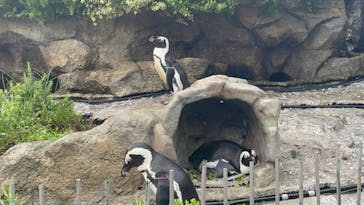 サンシャイン水族館に投稿された画像（2023/8/13）