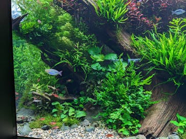 AOAO SAPPOROに投稿された画像（2023/8/13）