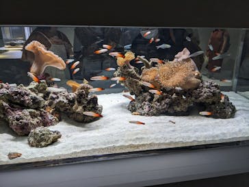 AOAO SAPPOROに投稿された画像（2023/8/13）