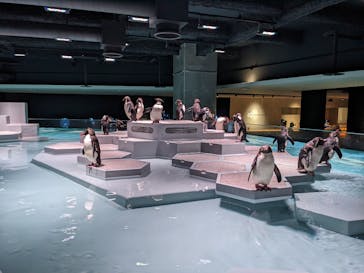 AOAO SAPPOROに投稿された画像（2023/8/13）