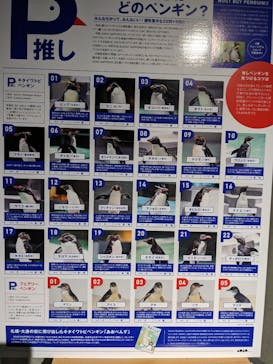 AOAO SAPPOROに投稿された画像（2023/8/13）