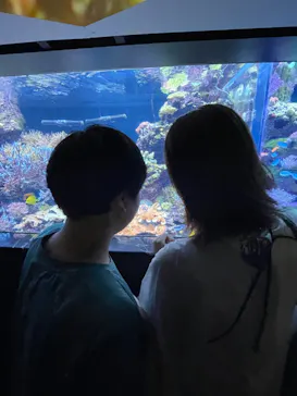 マクセル アクアパーク品川に投稿された画像（2023/8/13）