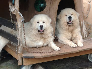 グリランド株式会社に投稿された画像（2023/8/13）