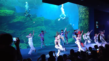仙台うみの杜水族館に投稿された画像（2023/8/13）