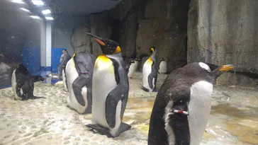 仙台うみの杜水族館に投稿された画像（2023/8/13）